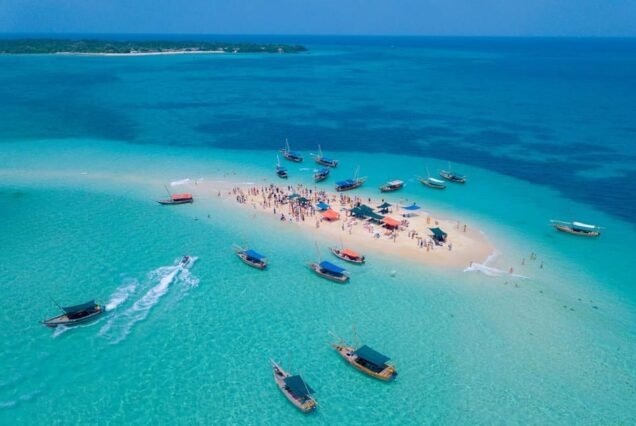 Lulu Tours and Safari in Zanzibar